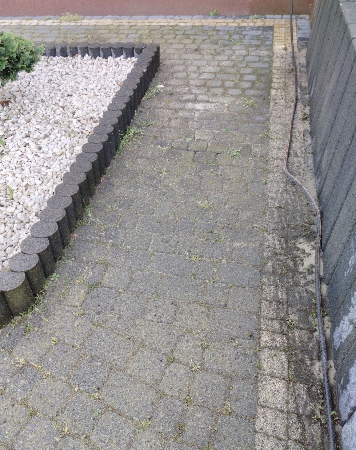Zaniedbana kostka brukowa z chwastami i zabrudzeniami przy ścianie budynku. Widoczny kabel. Fragment rabaty z białym kamieniem i obrzeżem.