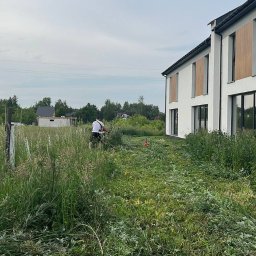 Wycinka drzew Warszawa 2