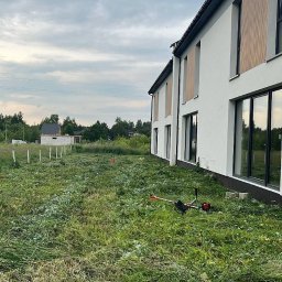 Wycinka drzew Warszawa 1