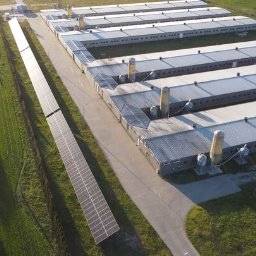 Doktor Klimat Pompy Ciepła - Widok z góry na farmę z panelami fotowoltaicznymi obok budynków. Panele ciągną się wzdłuż drogi, a budynki mają szare dachy i białe ściany.