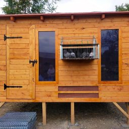 HOLZMET - Drewniana altana dla gołębi z oknami i drzwiami z ozdobnymi zawiasami. Widoczna klatka z gołębiami w środku. Konstrukcja na podwyższeniu, wykonana z jasnego drewna.