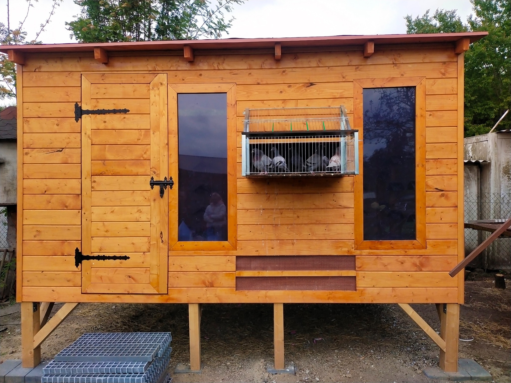 Drewniana altana dla gołębi z oknami i drzwiami z ozdobnymi zawiasami. Widoczna klatka z gołębiami w środku. Konstrukcja na podwyższeniu, wykonana z jasnego drewna.