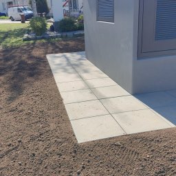 Wycinka drzew Rybnik 4