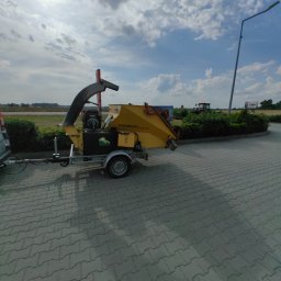 Wycinka drzew Rybnik 3