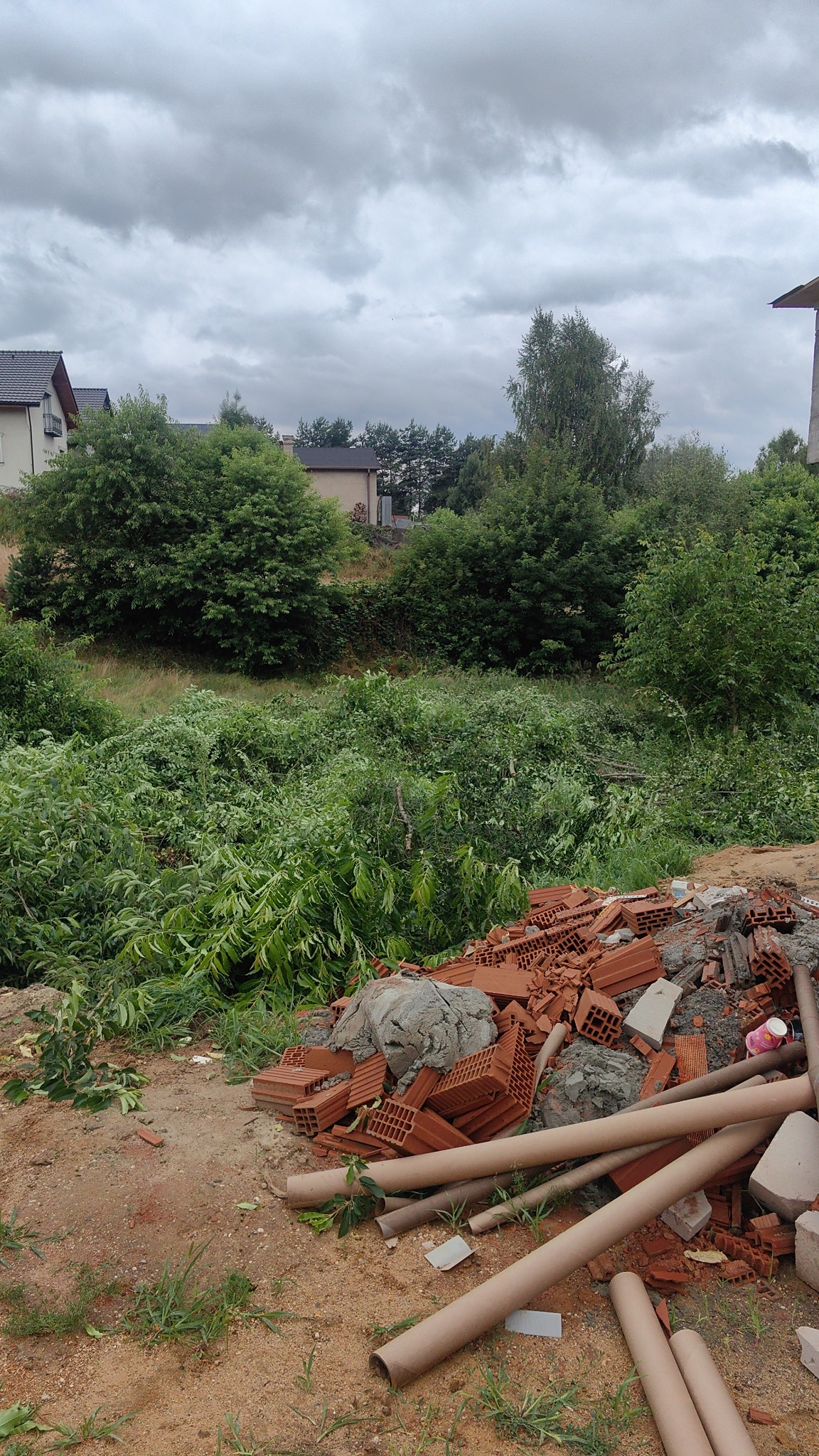 Stos pociętych gałęzi i gruzu na ziemi; w tle zieleń drzew i zabudowania pod pochmurnym niebem. Prace porządkowe po wycince.