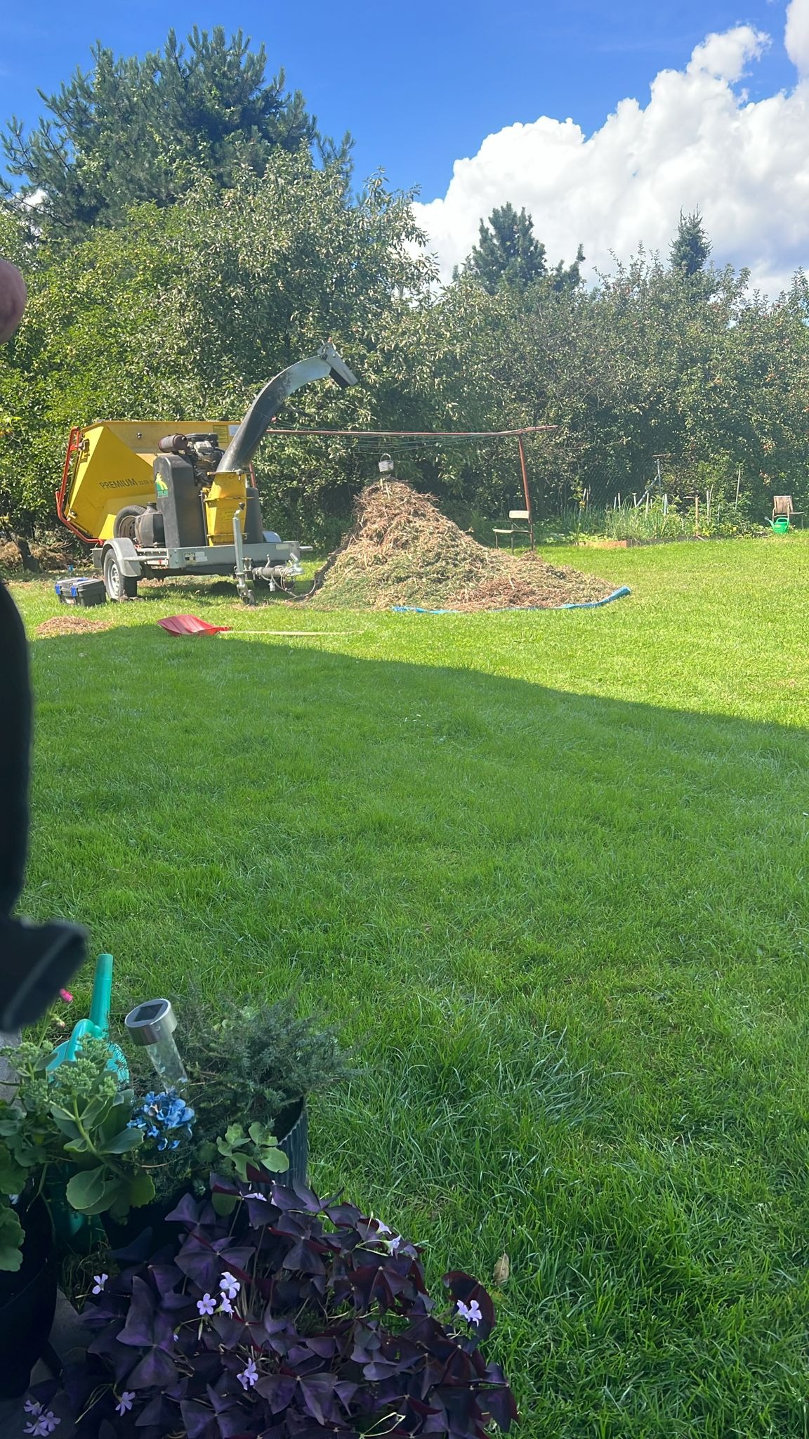 Żółta rębarka do gałęzi stoi na trawniku obok sterty rozdrobnionych gałęzi, w tle drzewa i niebo z chmurami. W rogu doniczki z roślinami.