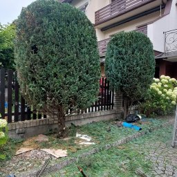 LDN PERFECT - Rewelacyjne Wycinanie Drzew Gdynia