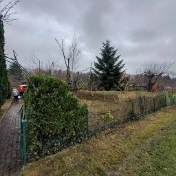 LDN PERFECT - Jesienny ogród po przycince: zielony żywopłot, drzewa z obciętymi gałęziami, siatka ogrodzeniowa i pochmurne niebo. Widoczne osoby w oddali.