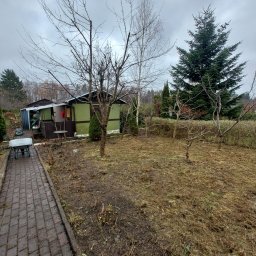 Przycinanie drzew Gdynia 4