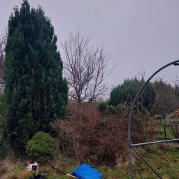 LDN PERFECT - Przed domem Gdynia