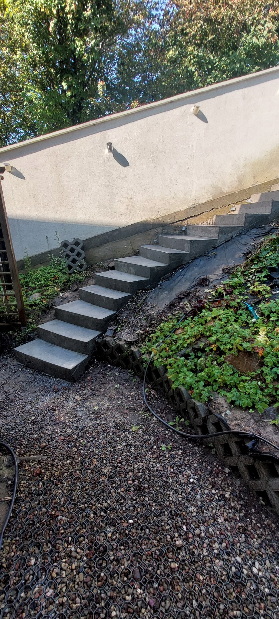 Betonowe schody prowadzące w górę zbocza, otoczone roślinnością i kamieniami. Ściana w tle z oświetleniem. Widok z dołu.