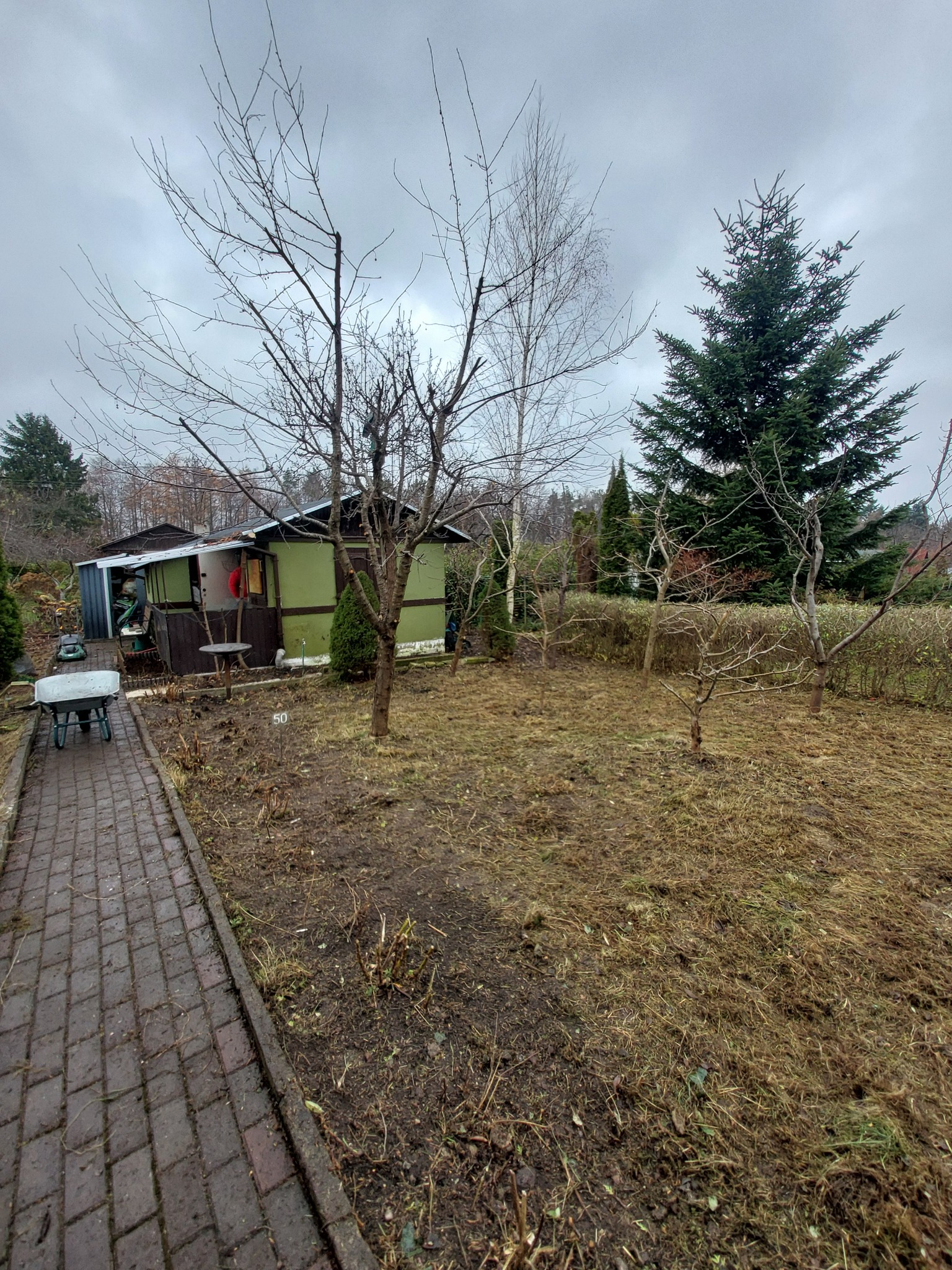 Ogród po przycięciu drzew i krzewów, widoczny trawnik z resztkami gałęzi, ścieżka z kostki brukowej i altana w tle. Pochmurny dzień.