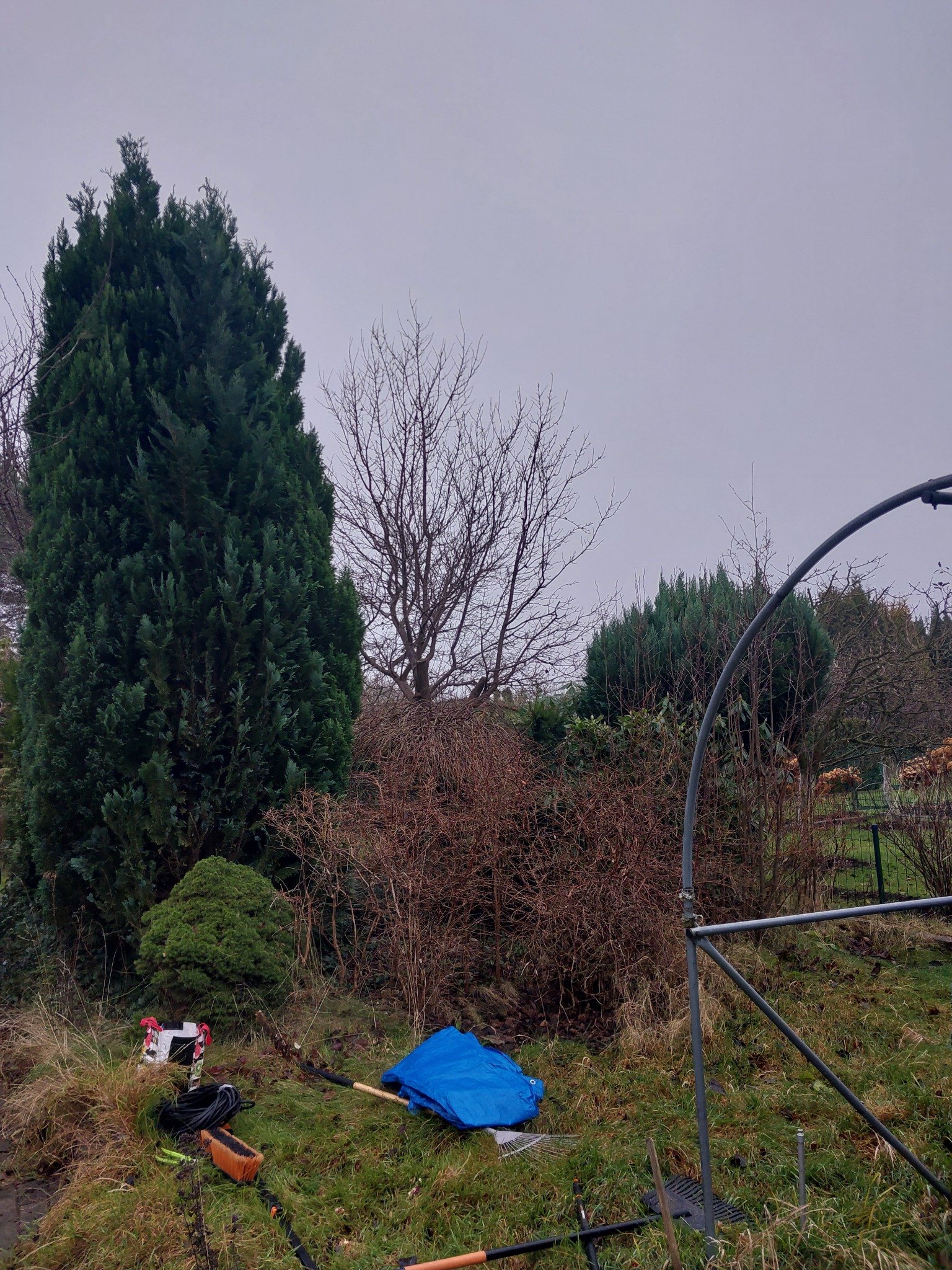 Przygotowania do prac ogrodowych: narzędzia, plandeka i konstrukcja metalowa na tle drzew i krzewów w pochmurny dzień. Widoczne akcesoria do pielęgnacji zieleni.