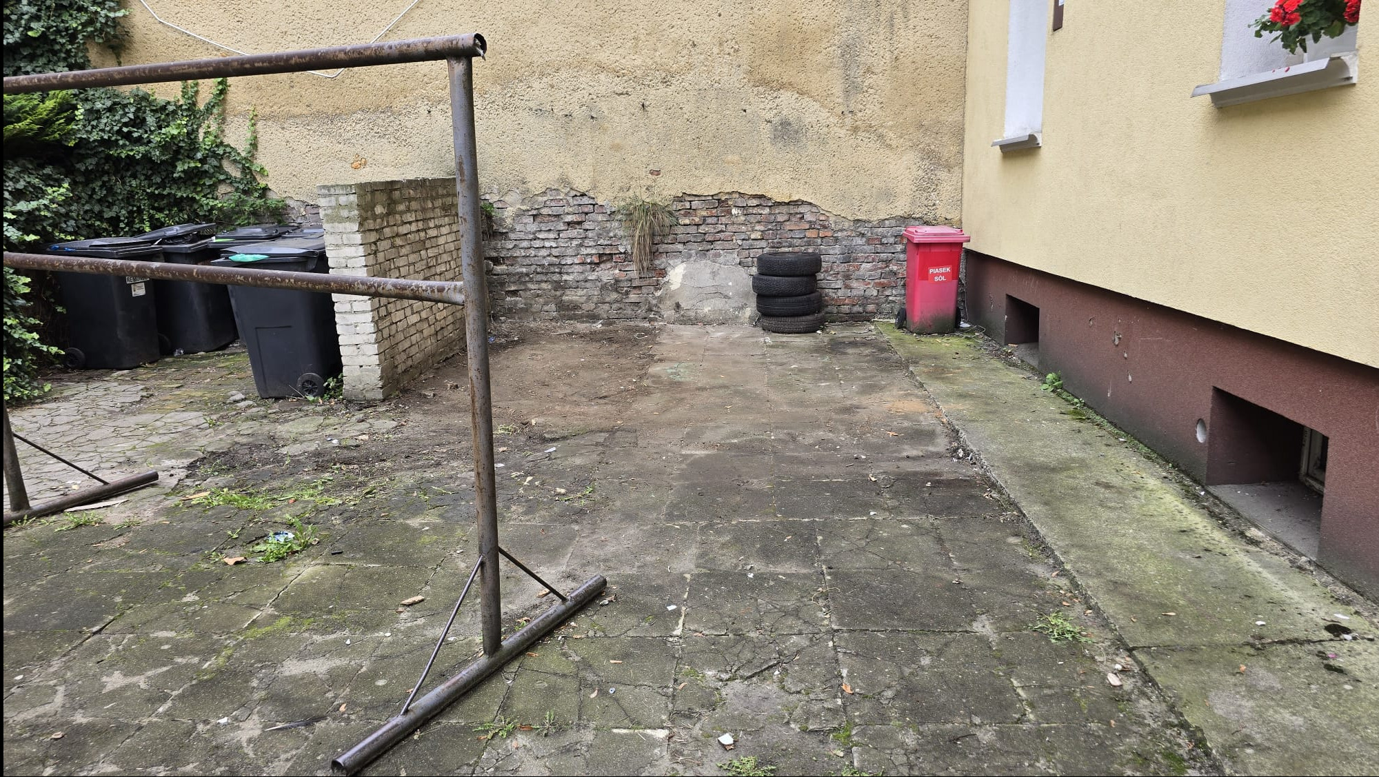 Zarośnięte, zaniedbane podwórko z odpadami: stary regał, opony, kosze na śmieci i czerwony pojemnik na piasek/sól. Tło: budynek z odpadającym tynkiem i ceglaną ścianą.