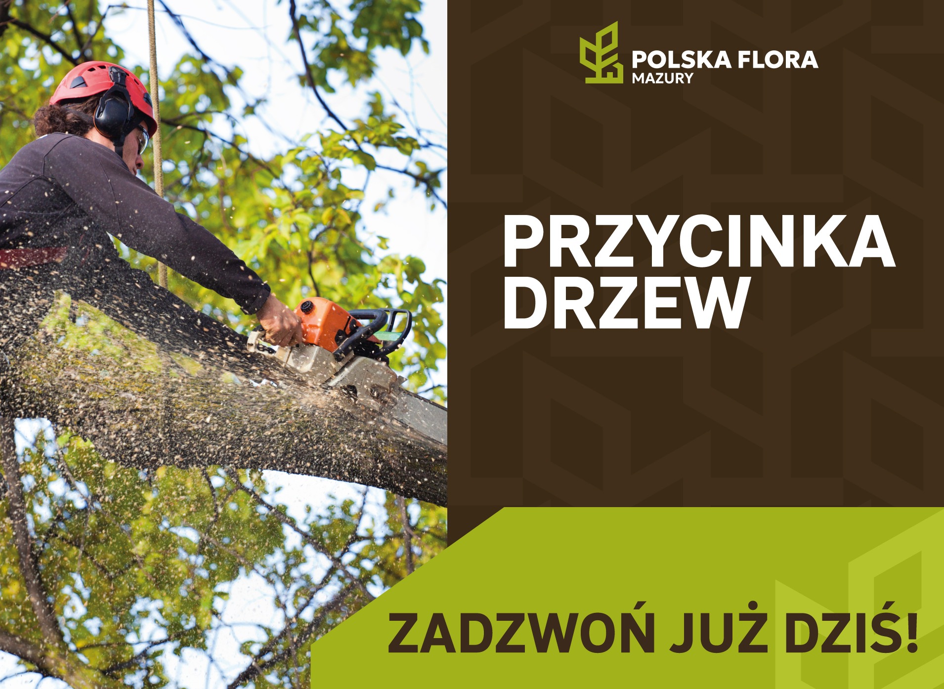 Arborysta w kasku tnie gałąź piłą spalinową, w tle zielone liście. Grafika reklamowa z hasłem 'Przycinanie drzew' i logo Polska Flora Mazury.