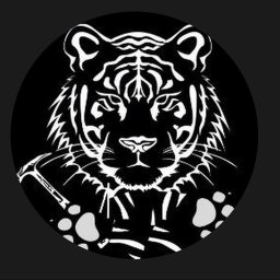 TYGRYS BUD - Fundamenty Pod Dom Warszawa