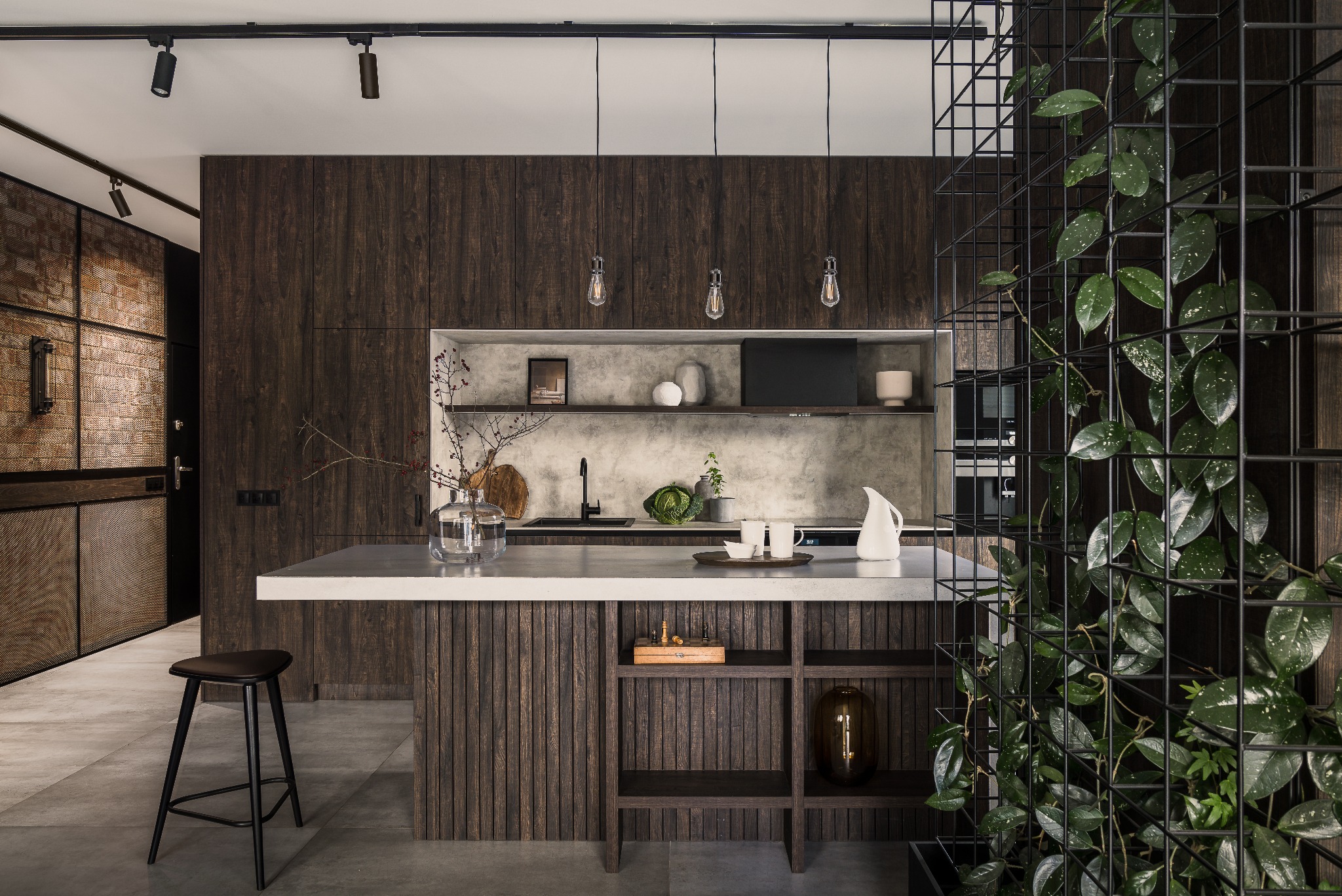 Nowoczesna kuchnia z ciemnego drewna, szary blat, oświetlenie punktowe i dekoracyjna roślina pnąca na metalowej konstrukcji. Minimalistyczny design z elementami naturalnymi.