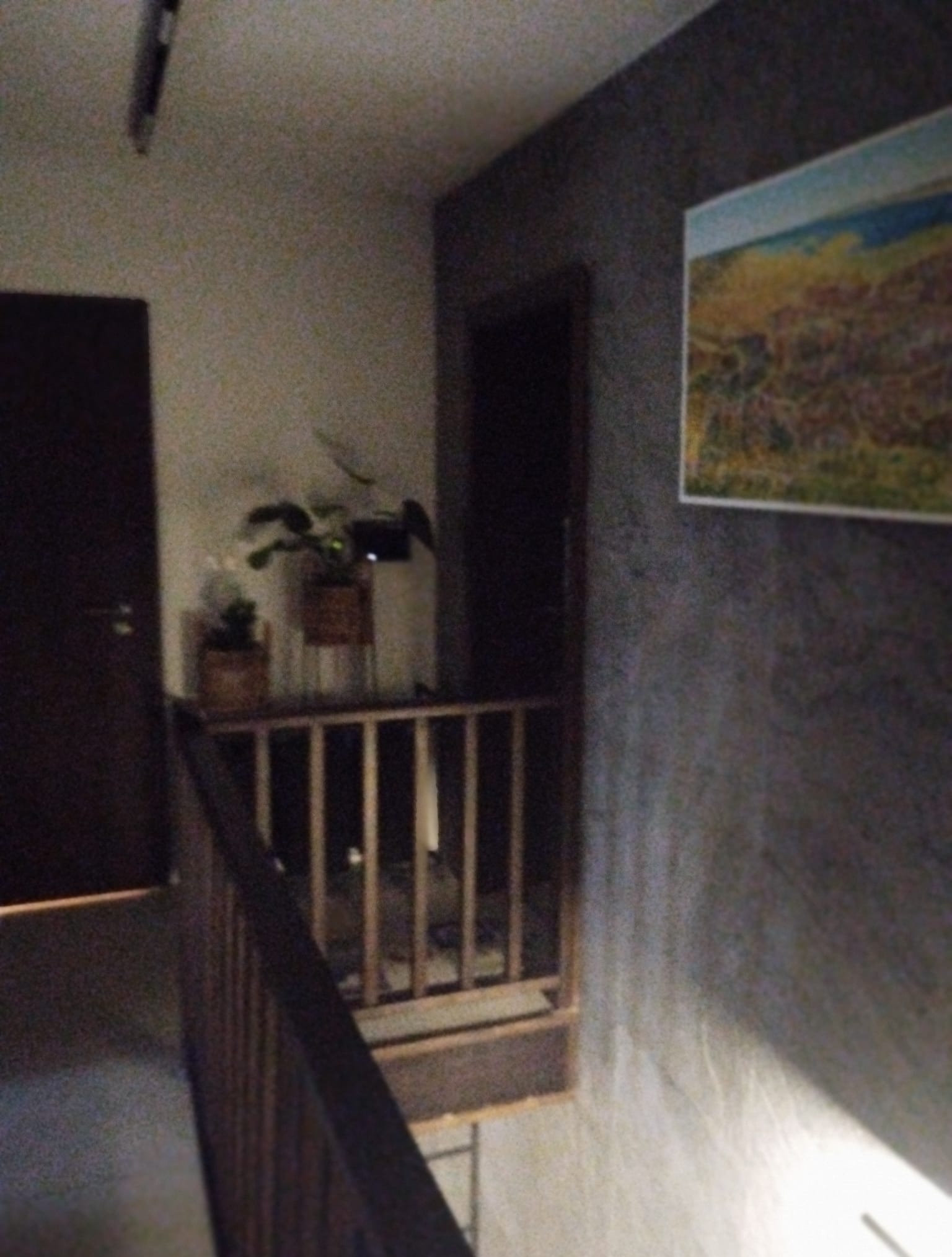 Wnętrze domu z drewnianą balustradą, roślinami w doniczkach i obrazem na szarej ścianie, widziane z perspektywy schodów. Minimalistyczny wystrój.