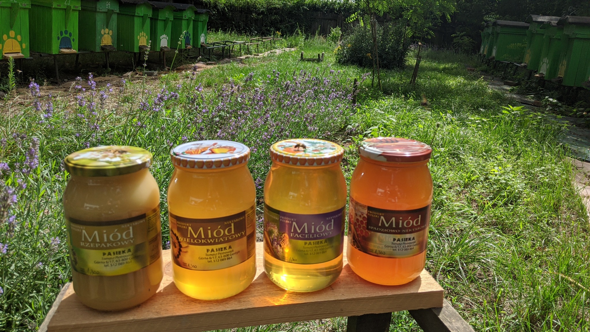Cztery słoiki z różnymi gatunkami miodu na drewnianej desce, w tle zielona trawa, kwiaty i ule z motywem łap. Słoiki z etykietami: rzepakowy, wielokwiatowy, faceliowy i spadziowo-nektarowy.