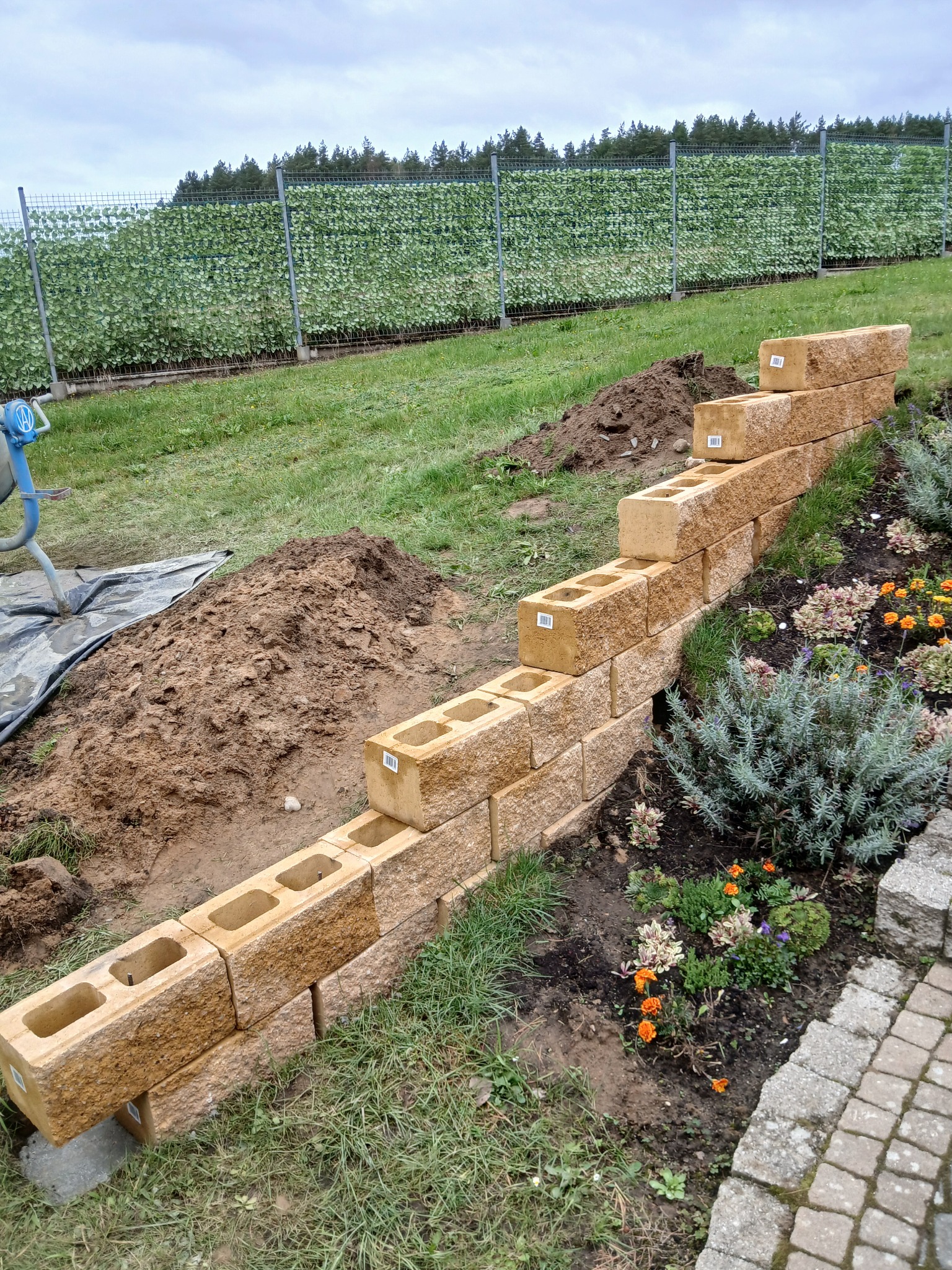 Wznoszenie murku oporowego z pustaków betonowych na skarpie, z widocznym ogrodzeniem panelowym w tle i elementami nasadzeń roślinnych. Etap budowy.