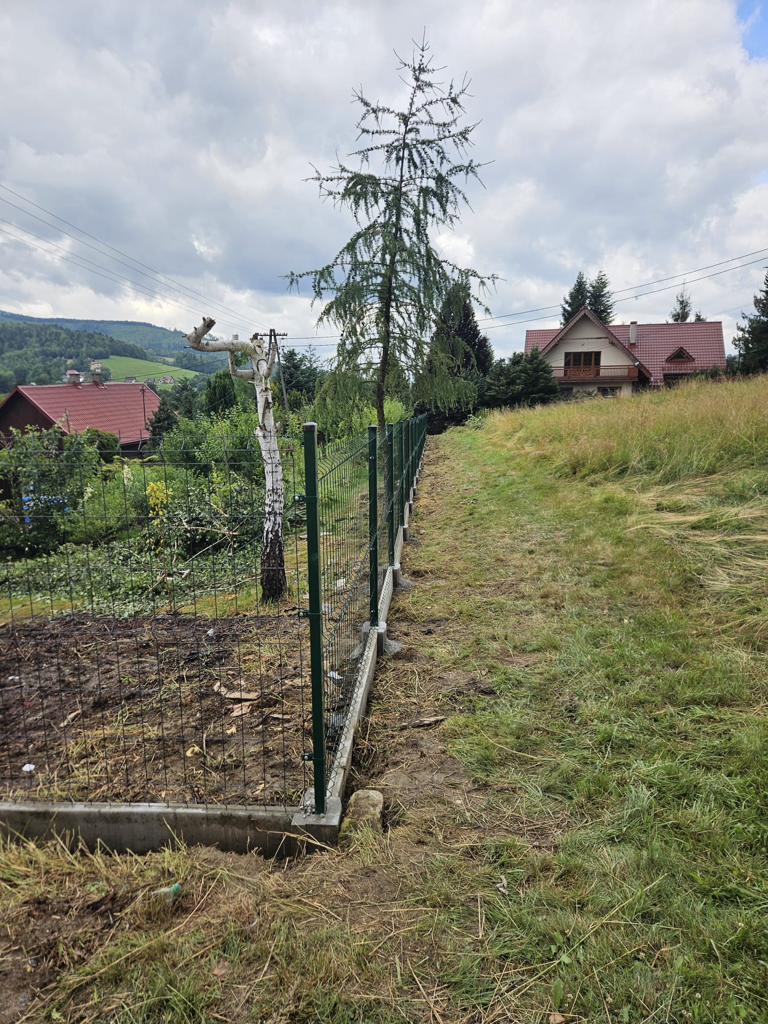 Zielone panele ogrodzeniowe na betonowej podmurówce, widok z boku w kierunku domu na wzgórzu, wysokie drzewo iglaste w tle.