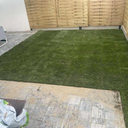 Wycinka drzew Wojciechów 1