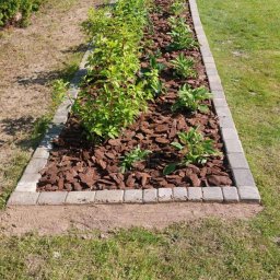 Wycinka drzew Wojciechów 2