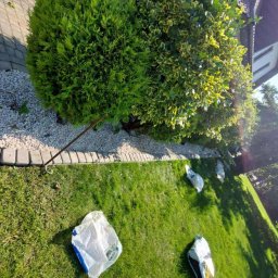 Wycinka drzew Wojciechów 3