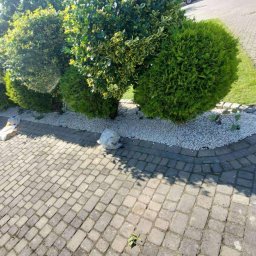 Wycinka drzew Wojciechów 4