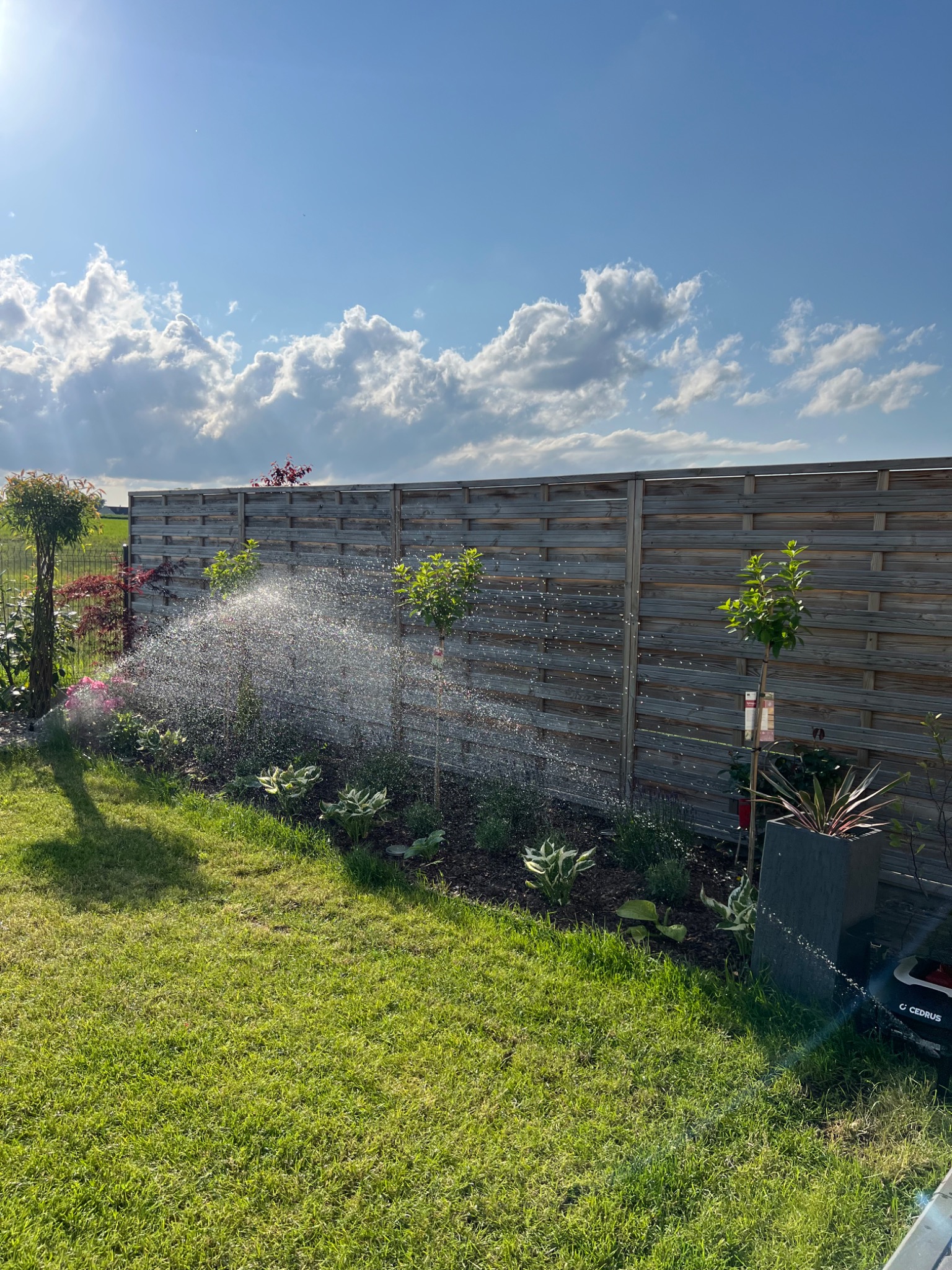 Nawadnianie ogrodu: zraszacze podlewają rośliny wzdłuż drewnianego płotu w słoneczny dzień. Widoczne krople wody w powietrzu i zadbany trawnik.