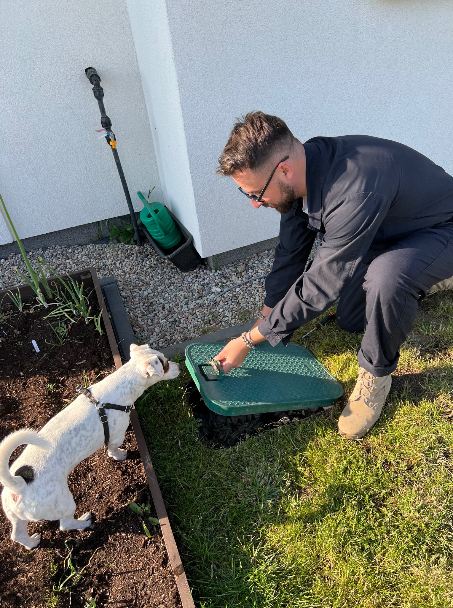 Instalator w kombinezonie otwiera zieloną skrzynkę systemu nawadniania, z zaciekawieniem obserwowany przez psa rasy Jack Russell Terrier na trawniku.