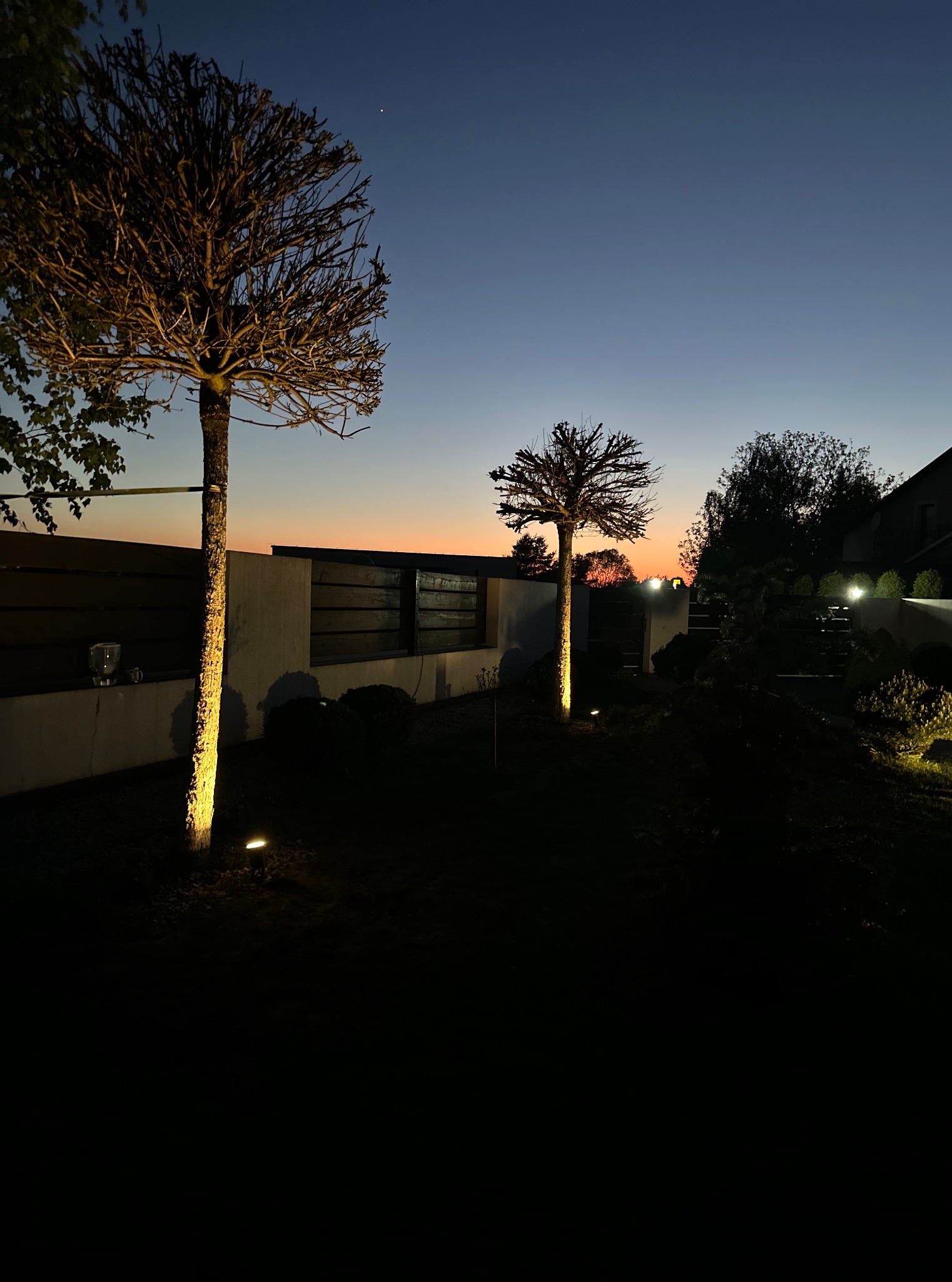 Oświetlony ogród o zmierzchu: drzewa z podświetleniem od dołu, ciemne ogrodzenie z drewnianymi elementami i subtelne światła wzdłuż ścieżki. Efektowna iluminacja przestrzeni.