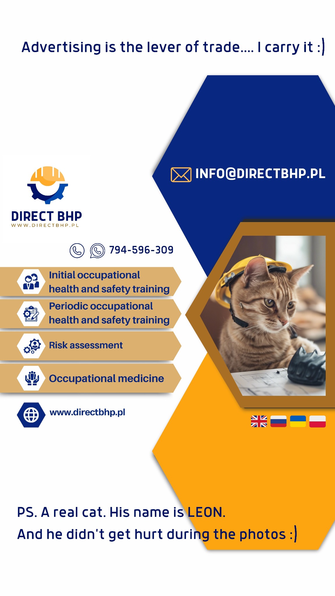 Reklama Direct BHP z kotem Leonem w kasku, promująca szkolenia BHP, ocenę ryzyka i medycynę pracy. Humorystyczne podejście do bezpieczeństwa.