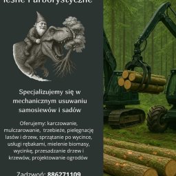 Pielęgnacja ogrodów Warszawa 1