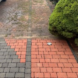 PPHU Eco&Clean Grzegorz Blat - Kostka brukowa po czyszczeniu: połowa czerwona i czysta, druga szara, porośnięta mchem. Widoczna lampa najazdowa i krzew.