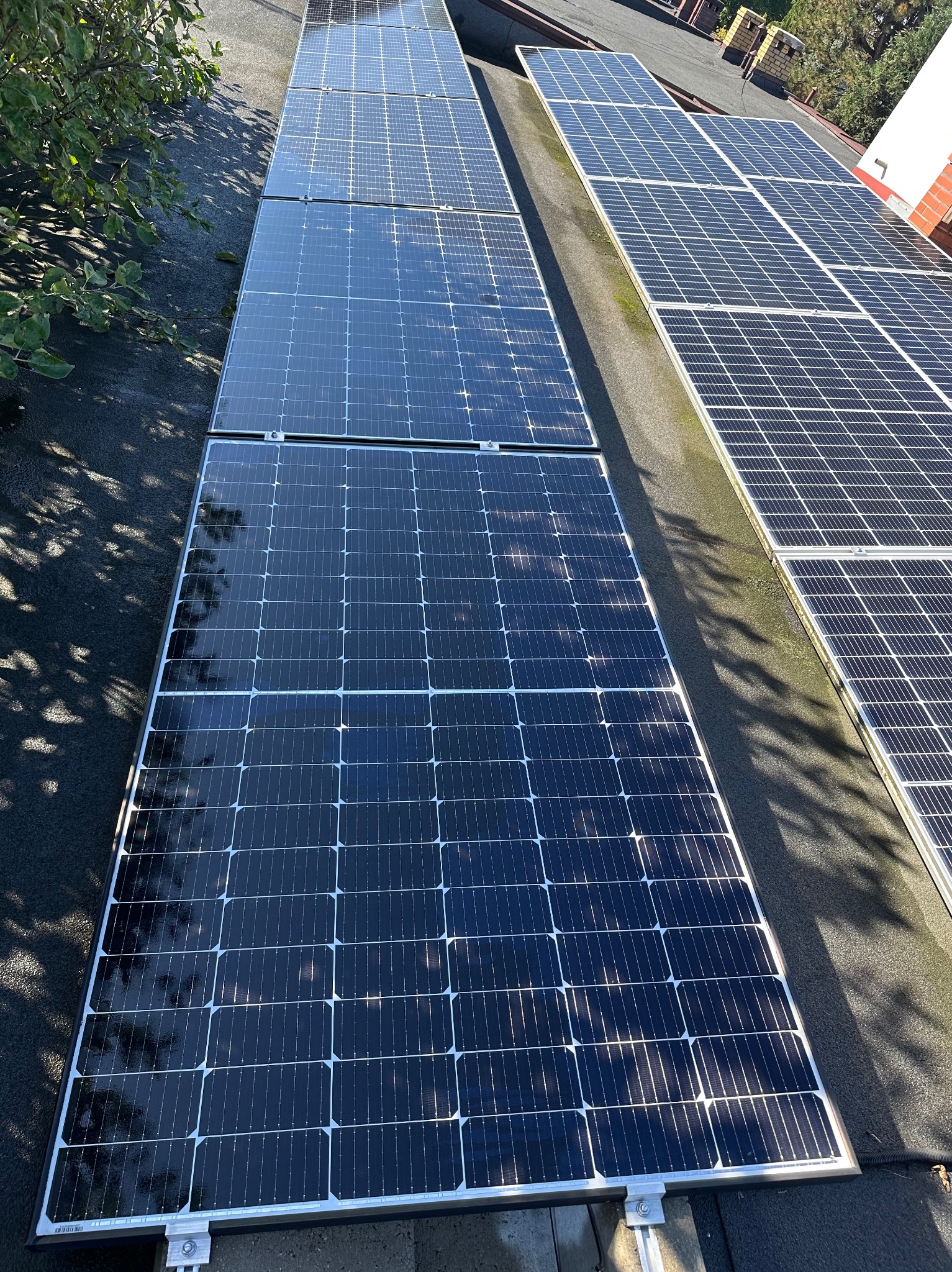 Rząd paneli fotowoltaicznych na dachu, widoczne mocowania i cień drzewa. Błyszcząca powierzchnia paneli odbija niebo. Fragment dachu pokryty papą.
