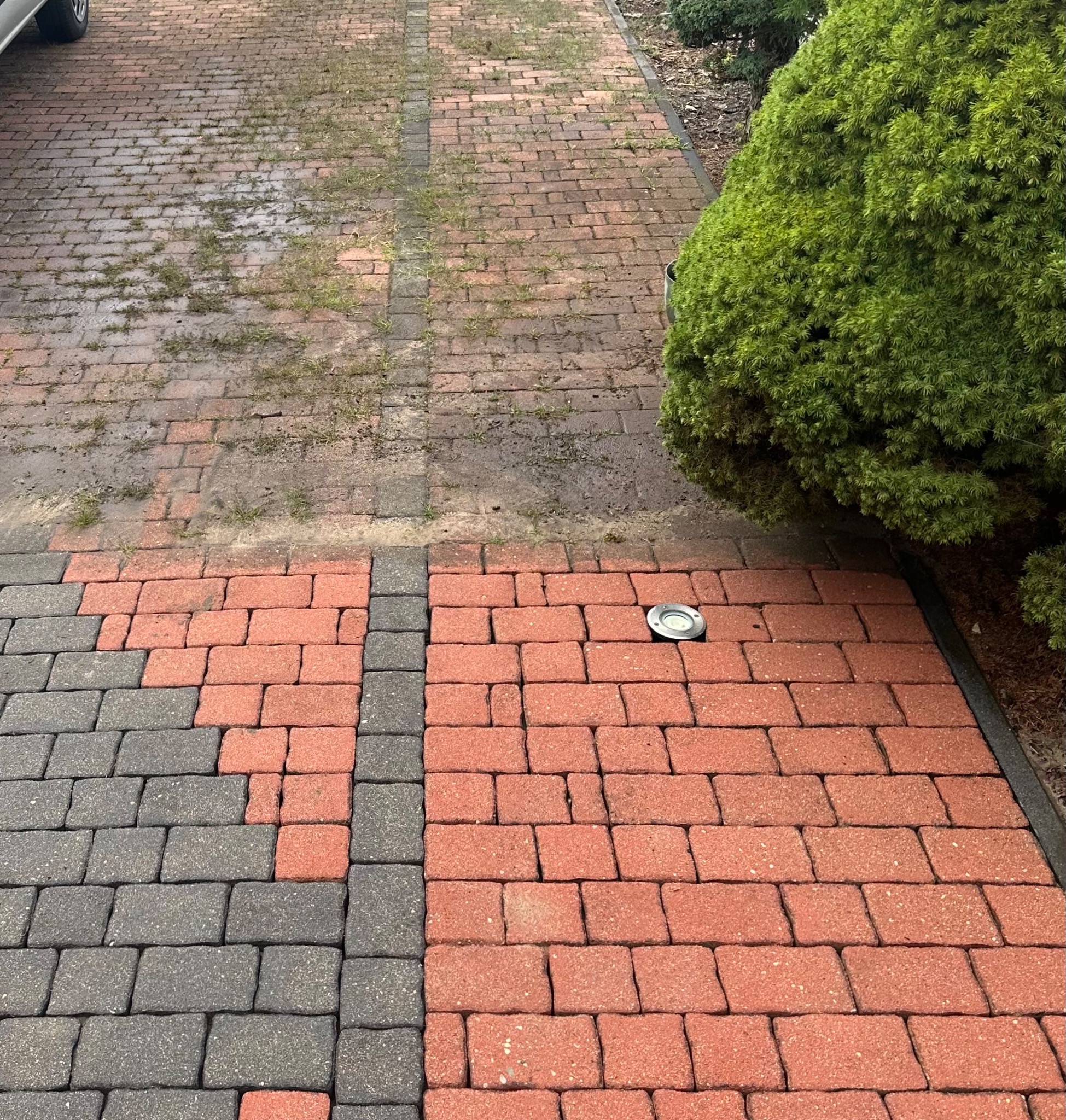 Kostka brukowa po czyszczeniu: połowa czerwona i czysta, druga szara, porośnięta mchem. Widoczna lampa najazdowa i krzew.