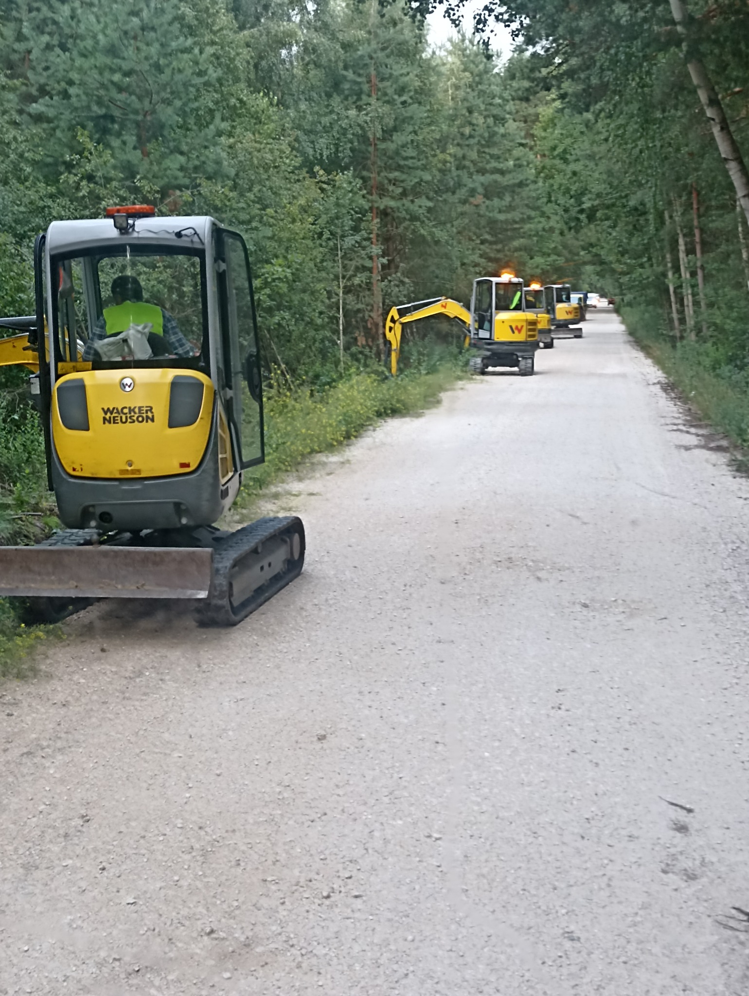 Żółte mini koparki Wacker Neuson ustawione w rzędzie wzdłuż żwirowej drogi leśnej. Widok z tyłu pierwszej koparki, operator w kabinie.