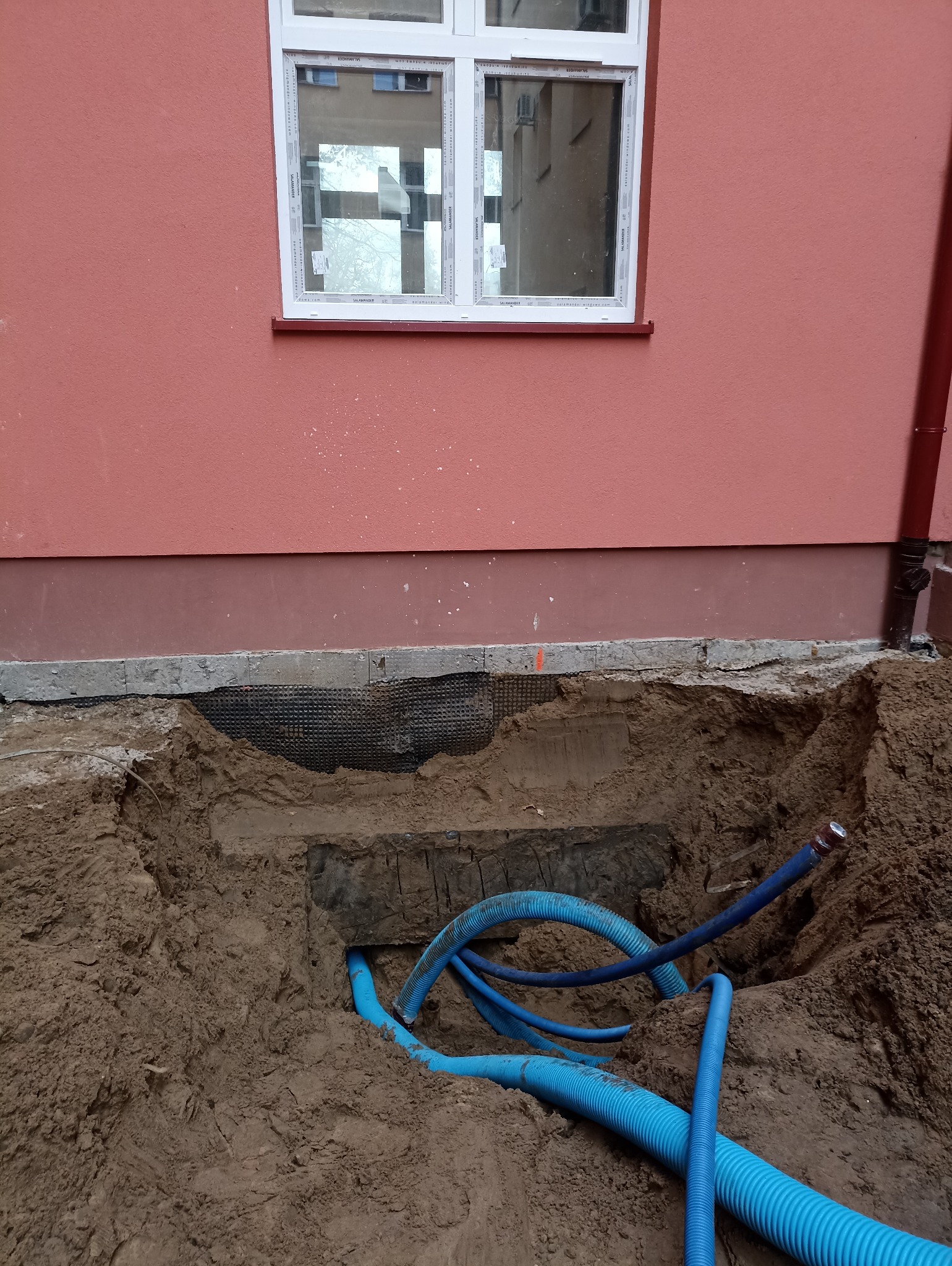 Wykop z niebieskimi rurami w ziemi, przy budynku z oknem. Widoczna siatka drenażowa. Rury karbowane, ułożone w wykopie. Prace ziemne, instalacja podziemna.
