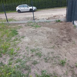 Wycinka drzew Kobyłka 3