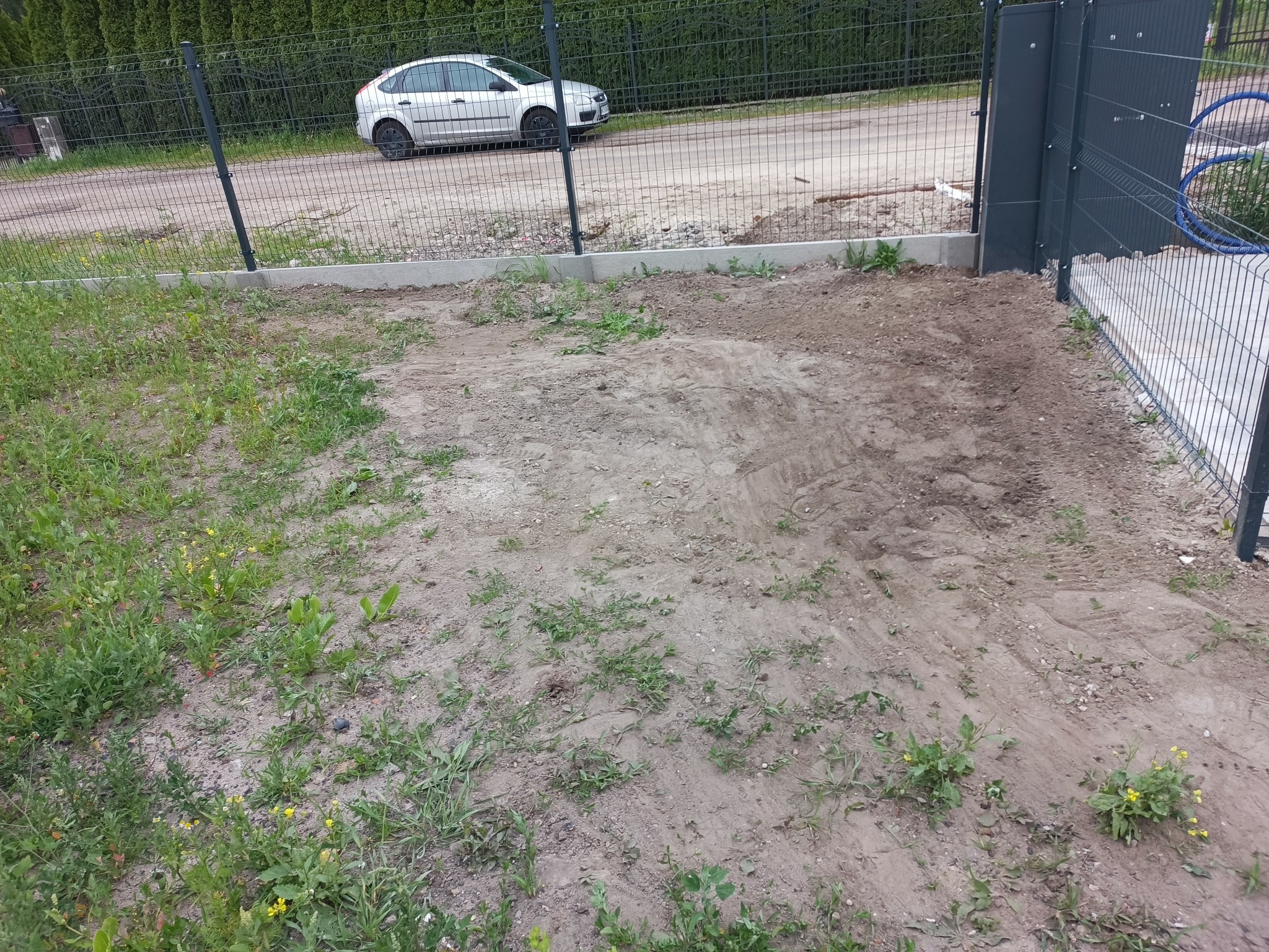 Przygotowany teren pod trawnik z widocznym ogrodzeniem panelowym i fragmentem bramy. W tle szary samochód i zielone tuje.