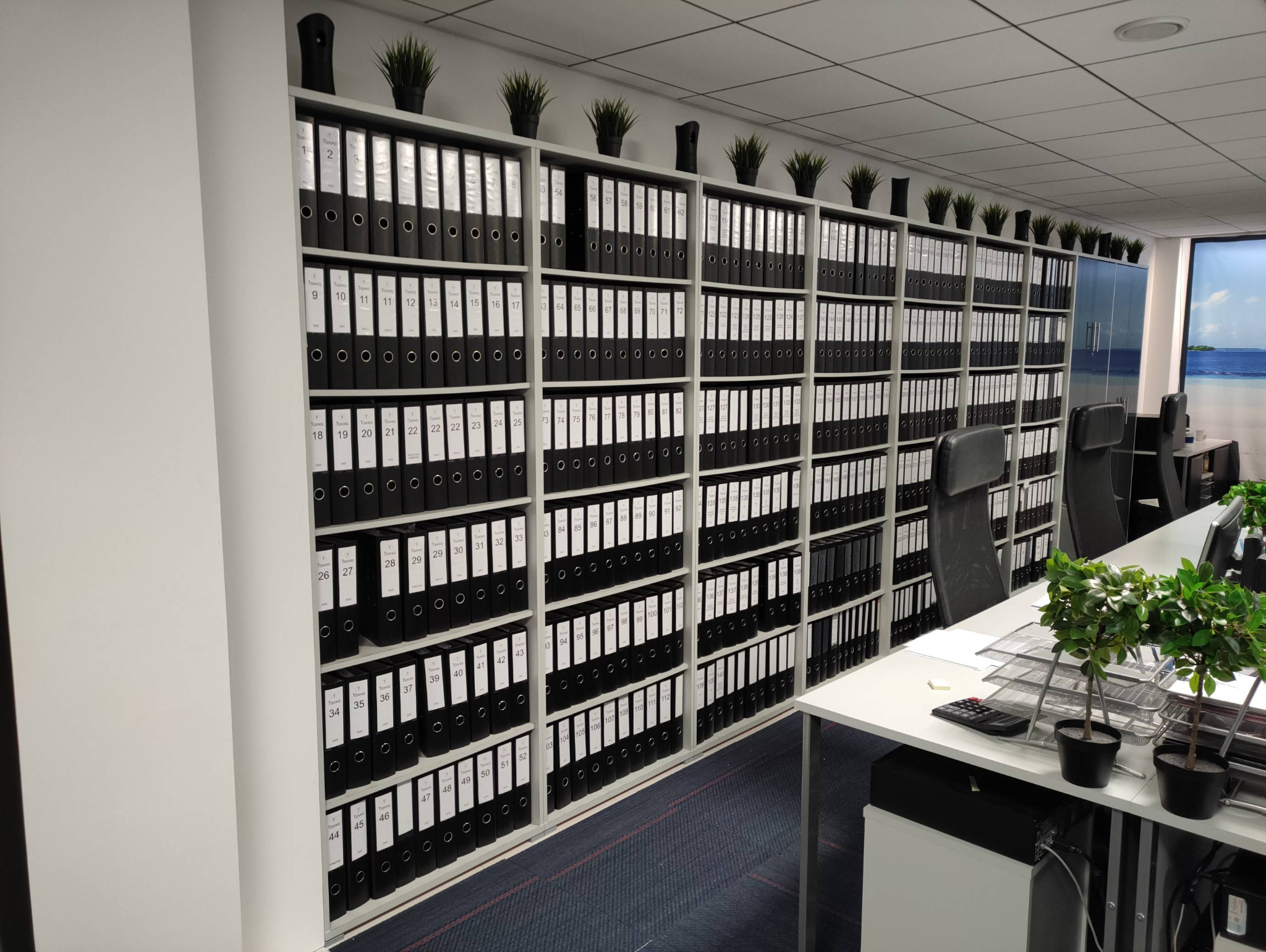 Biuro rachunkowe: regał z segregatorami oznaczonymi numerami, rośliny doniczkowe na górze, biurka z komputerami w tle. Porządek w dokumentacji księgowej.