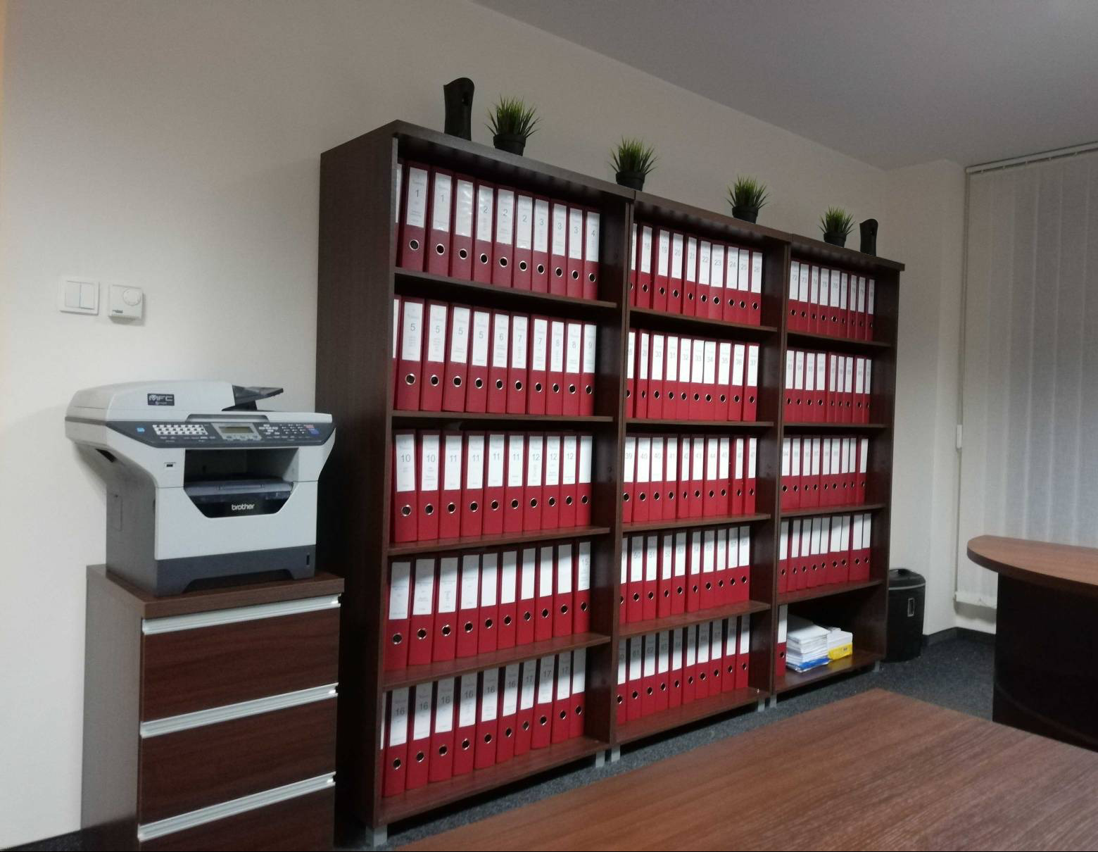 Biuro w Gdyni: Regał z segregatorami, drukarka na szafce. Porządek i organizacja dokumentów w biurze rachunkowym. Rośliny doniczkowe na regale.