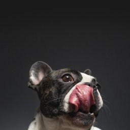 Szycie pokrowców Cygów 4