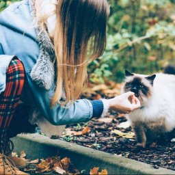 Koci Behawiorysta - Spacery z Psem Warszawa