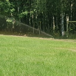 HYDRAULIK Meik Barwinski - Automatyczny system nawadniania trawnika zraszaczem rotacyjnym na tle drzew i fragmentu bramki piłkarskiej. Intensywne nawadnianie trawy na boisku.