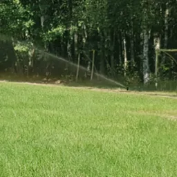 Automatyczny system nawadniania trawnika zraszaczem rotacyjnym na tle drzew i fragmentu bramki piłkarskiej. Intensywne nawadnianie trawy na boisku.