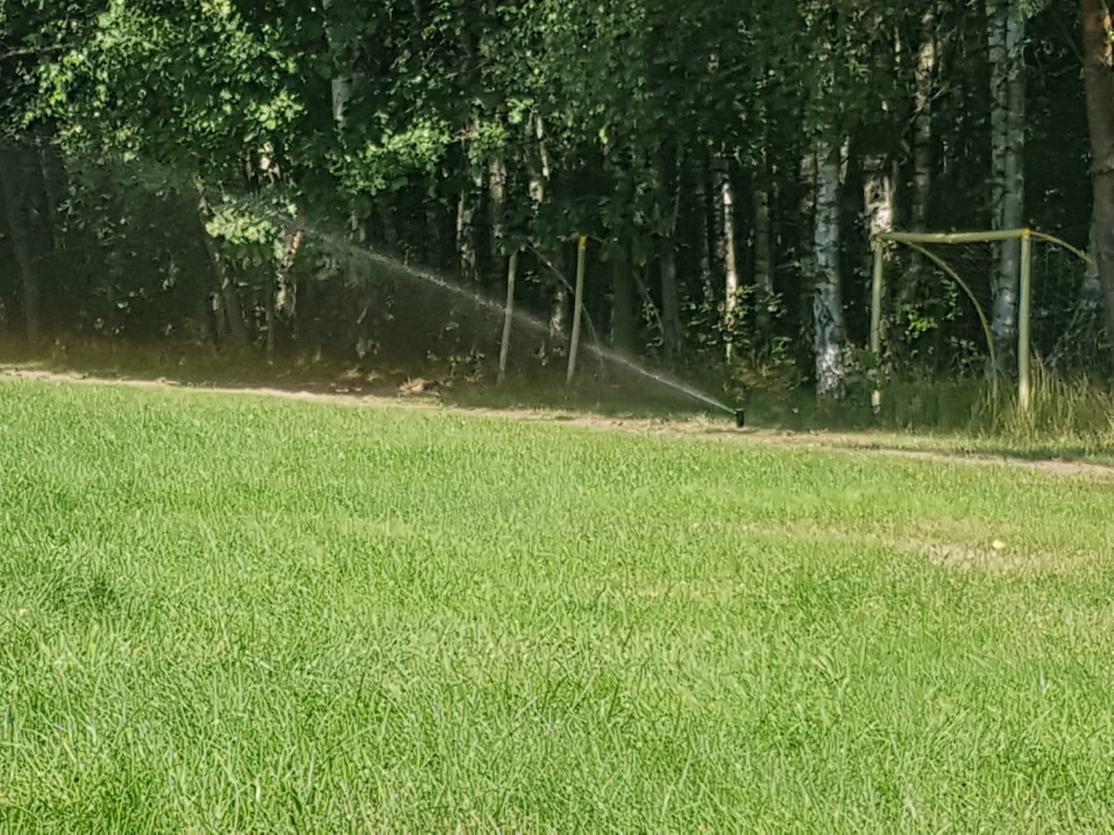 Automatyczny system nawadniania trawnika zraszaczem rotacyjnym na tle drzew i fragmentu bramki piłkarskiej. Intensywne nawadnianie trawy na boisku.