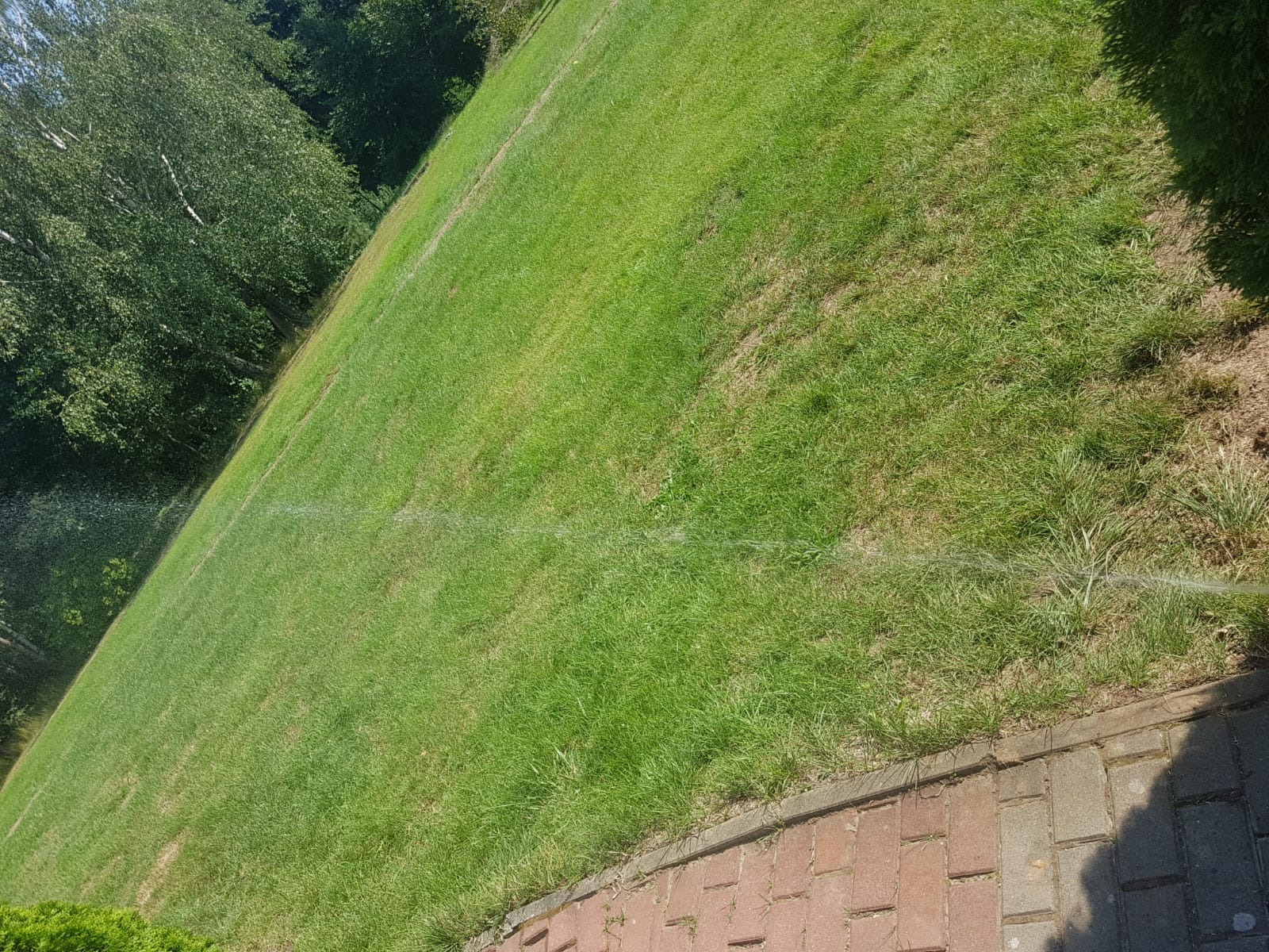 Nawadnianie trawnika zraszaczem liniowym, widok z boku, zroszona trawa, drzewa w tle, kostka brukowa wzdłuż krawędzi. System nawadniania w akcji.