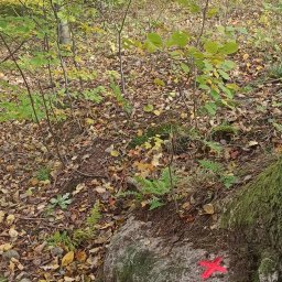 Geodeta Jelenia Góra 4